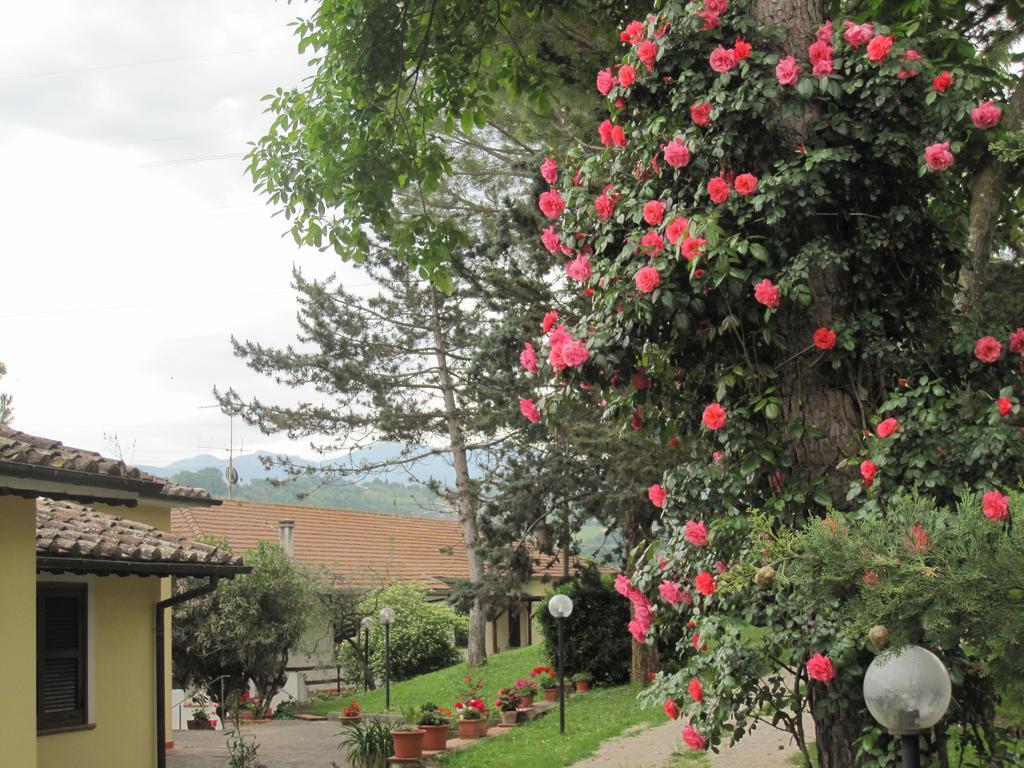 Valle degli Ulivi Terni Esterno foto